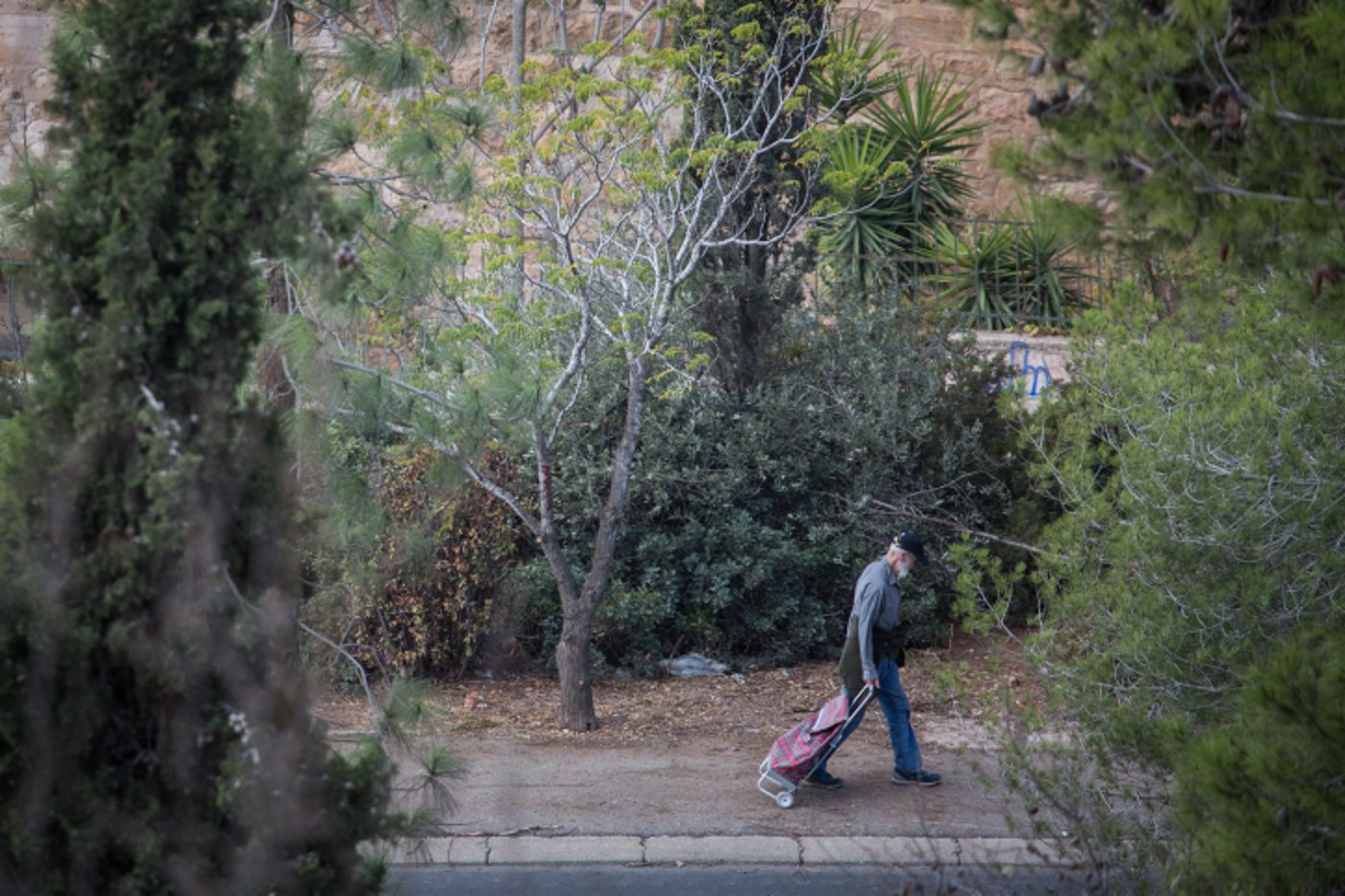 ירושלים של גשם • גלריה באפור ירוק