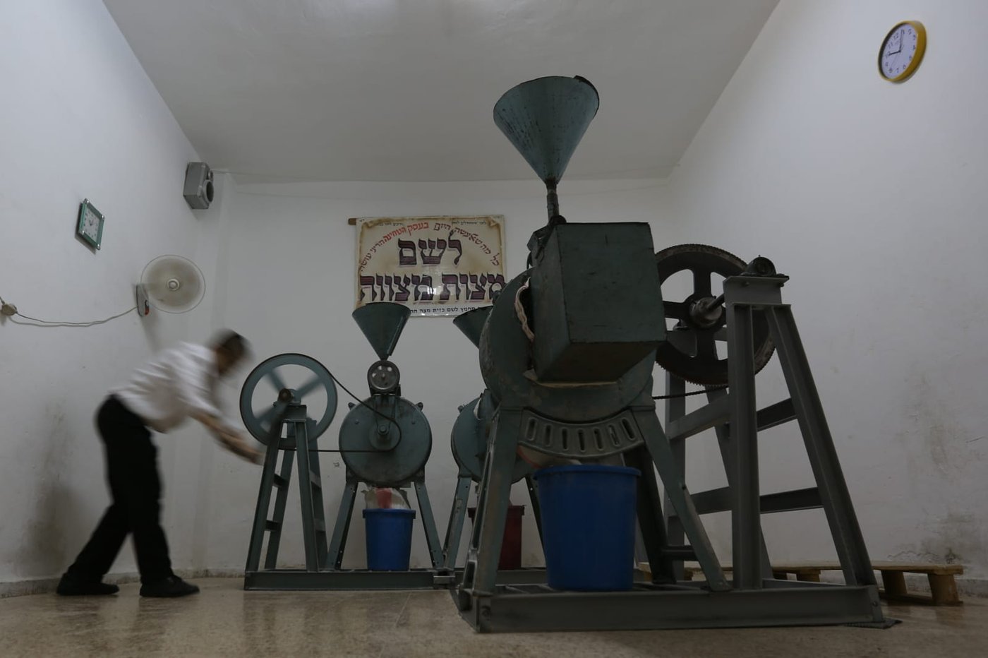 כך טוחנים חיטים עבור המצות • גלריה