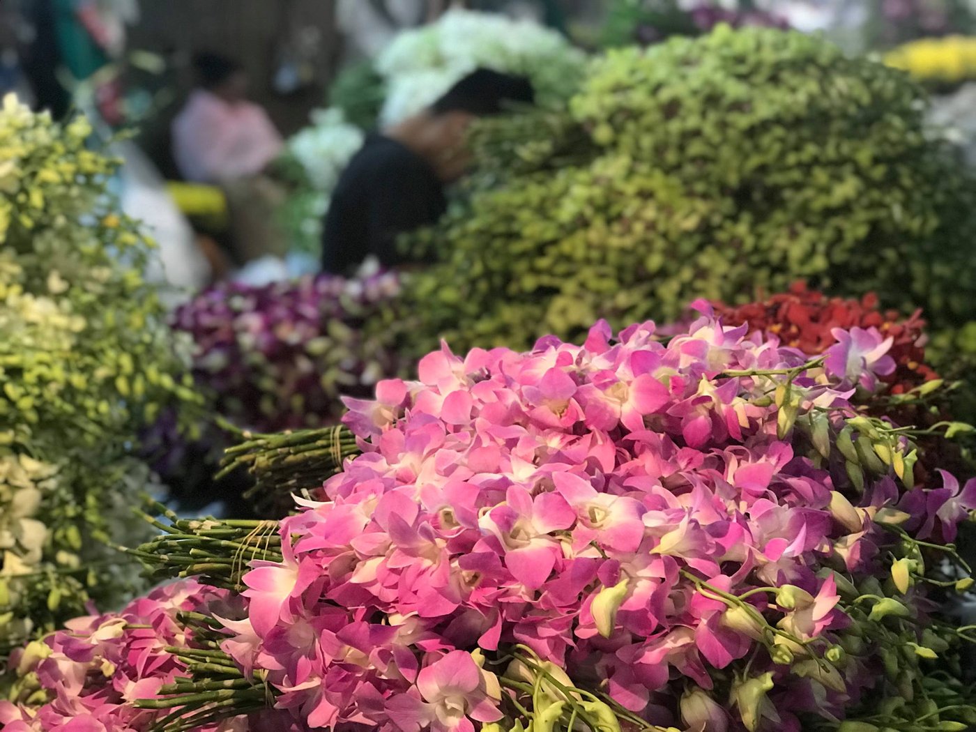 סיור דרך המצלמה לשוק הפרחים של בנגקוק