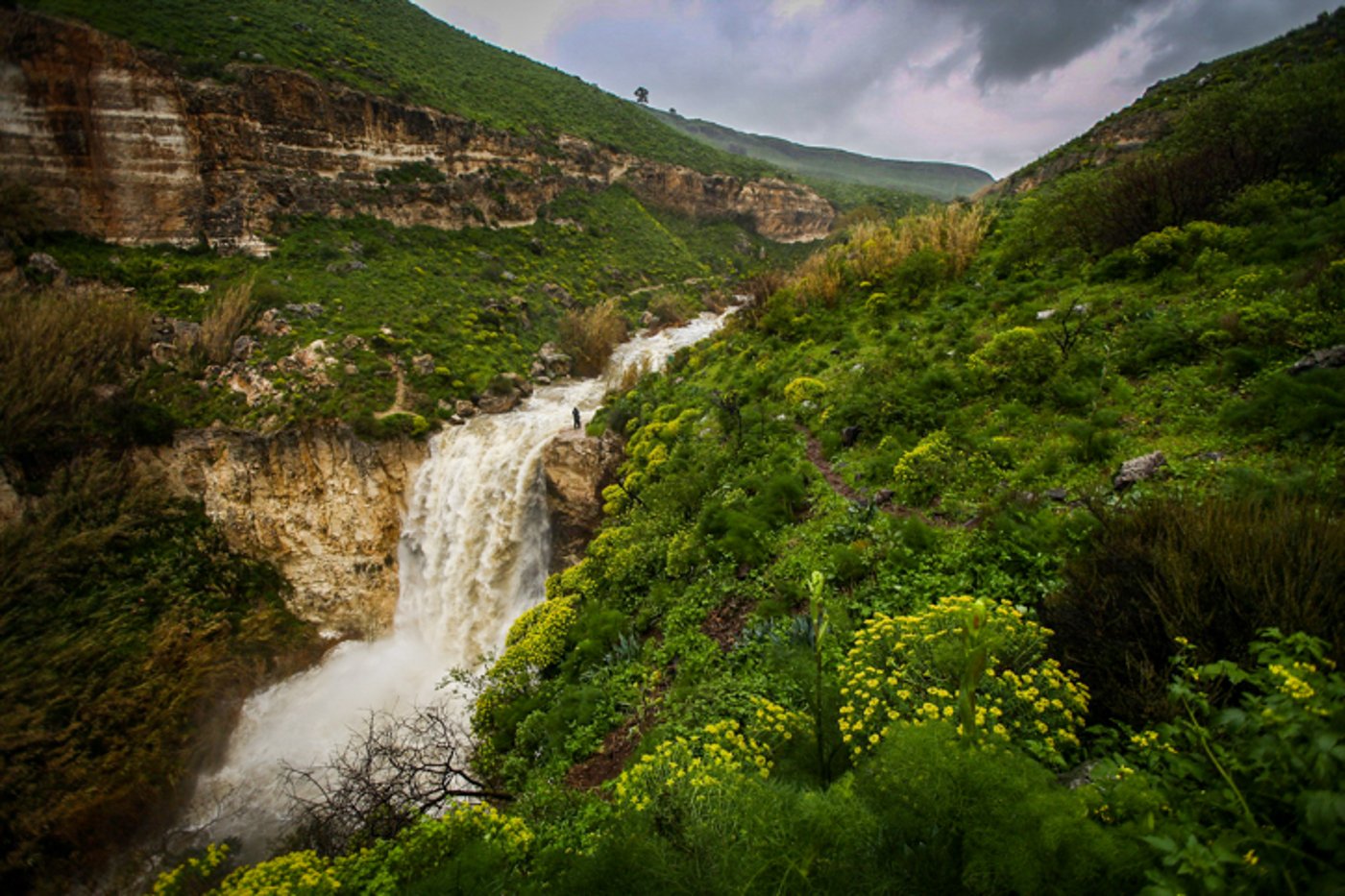 הזרימה העזה בנחל אל על