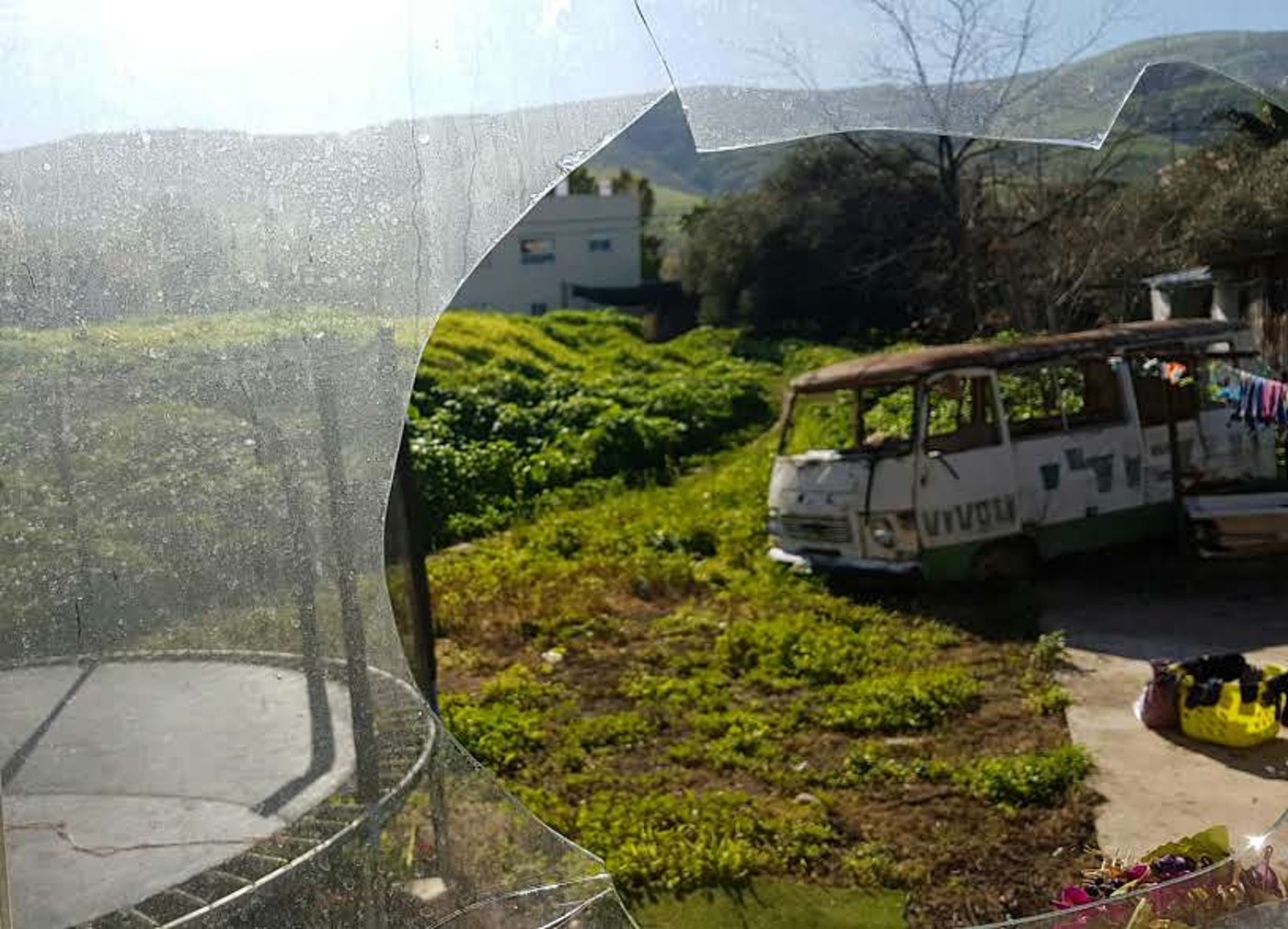 פריחה אביבית בגליל התחתון • גלריה