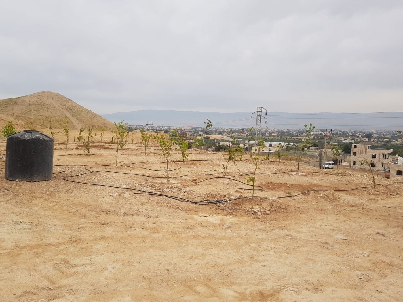 מזעזע: ערבים מיריחו בזזו את מערת הקבורה