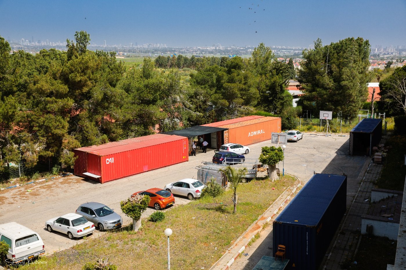 כך מחלקים החב"דניקים אלפי מצות שמורה