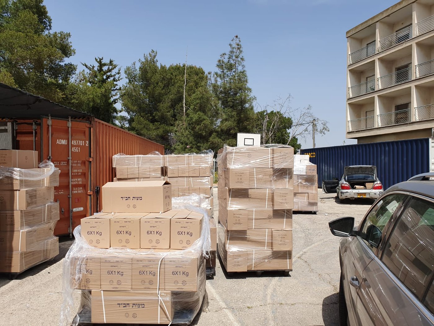 כך מחלקים החב"דניקים אלפי מצות שמורה