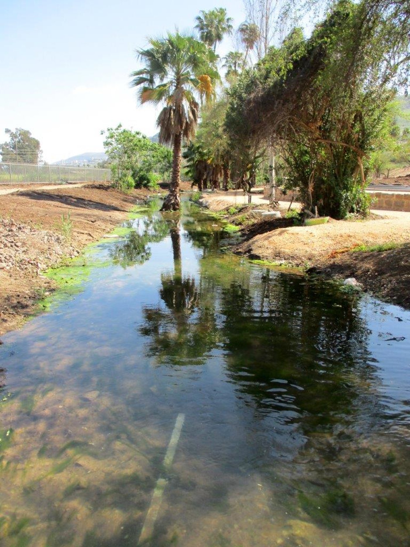הצפון המרהיב וכמה מנחליו בגלריה מרהיבה