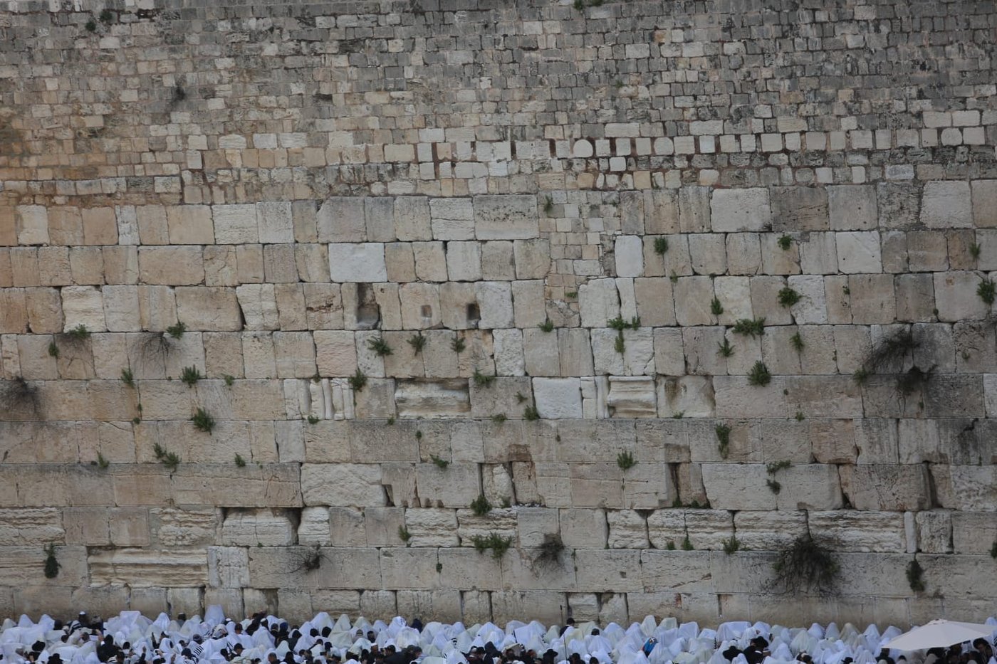 הברכה השנתית: צפו ב'ברכת כהנים' בכותל המערבי
