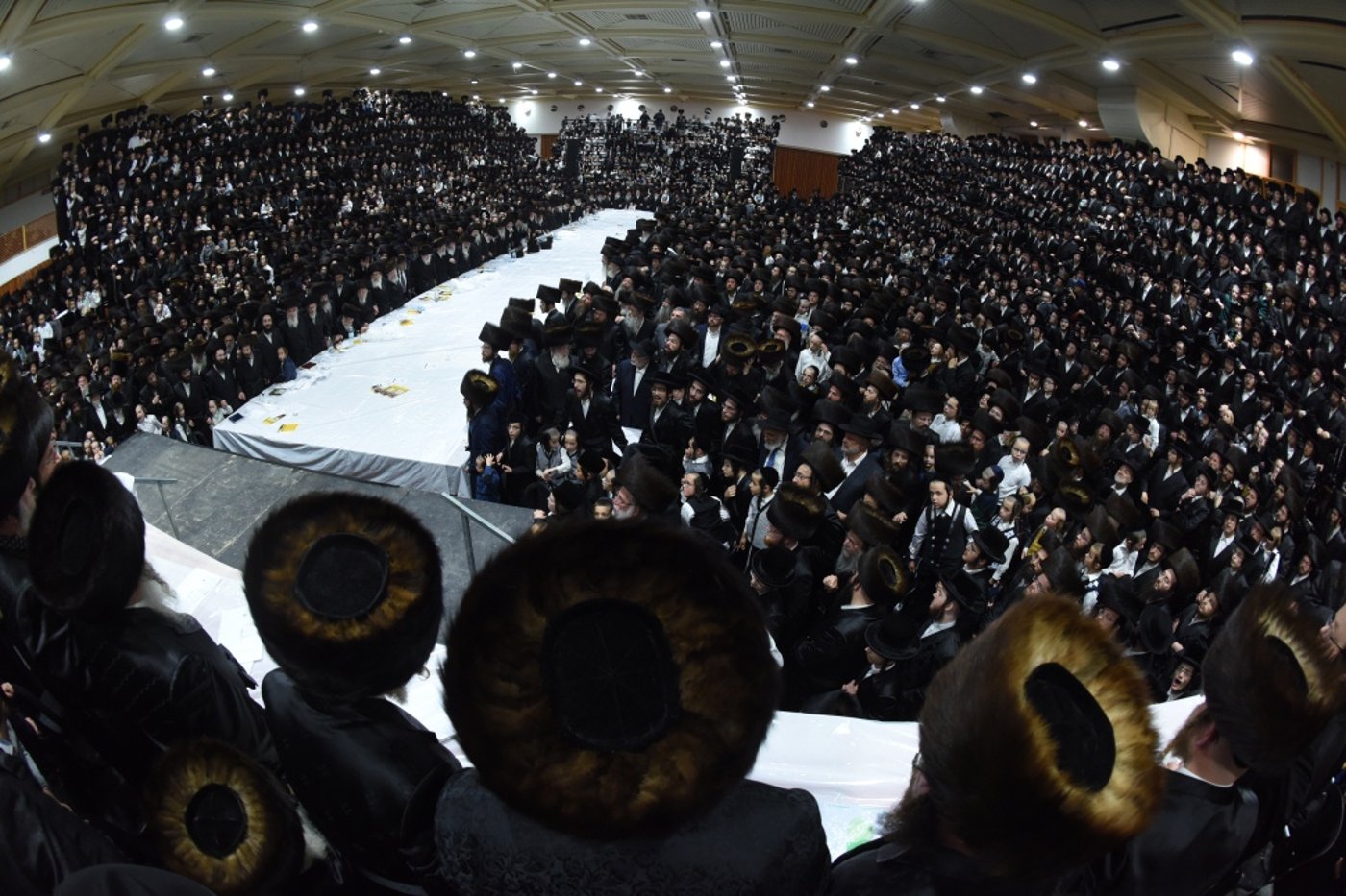 האדמו"ר מפינסק-קרלין פדה חמור בצאנז