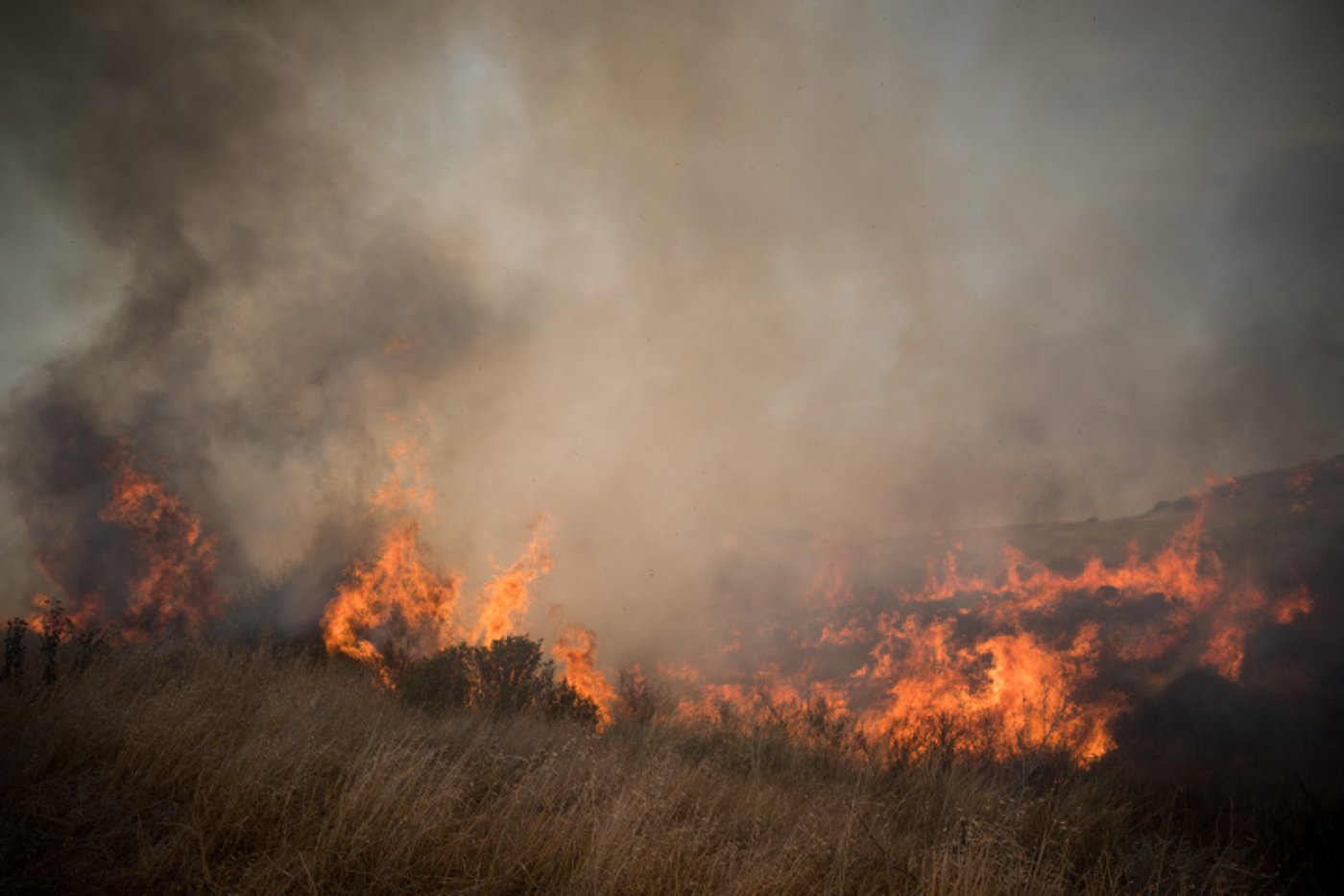 בלוני תבערה? 'חקלאים מציתים את השדות'