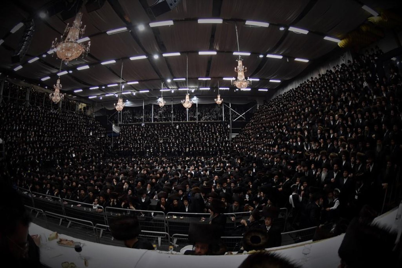 גלריה מסכמת: חתונת נכד האדמו"ר מויז'ניץ