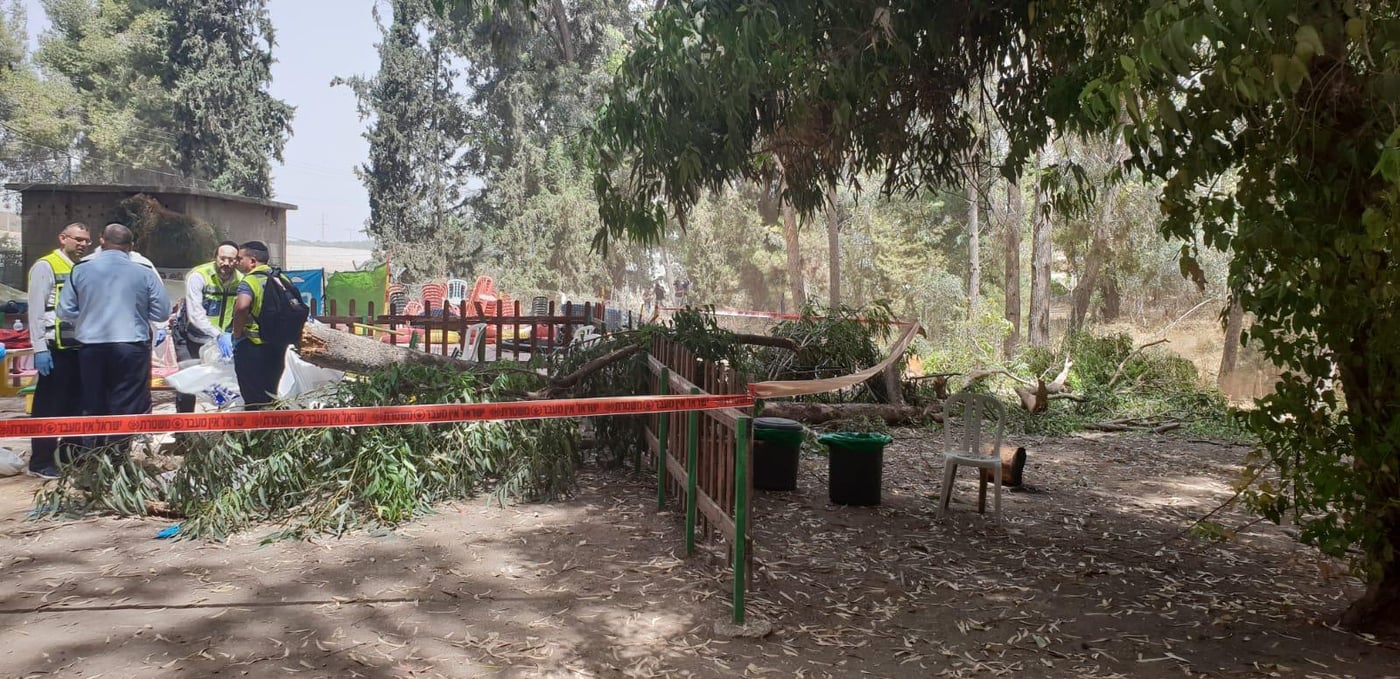 ילד בן 10 נהרג מקריסת עץ בפארק לכיש