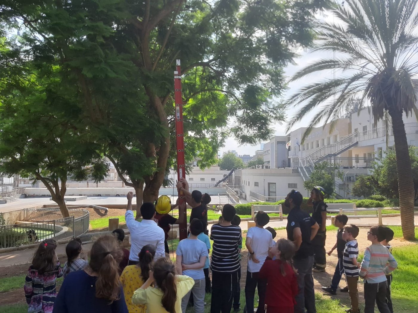 צפו: הכבאים חילצו את היונה שנתקעה בעץ