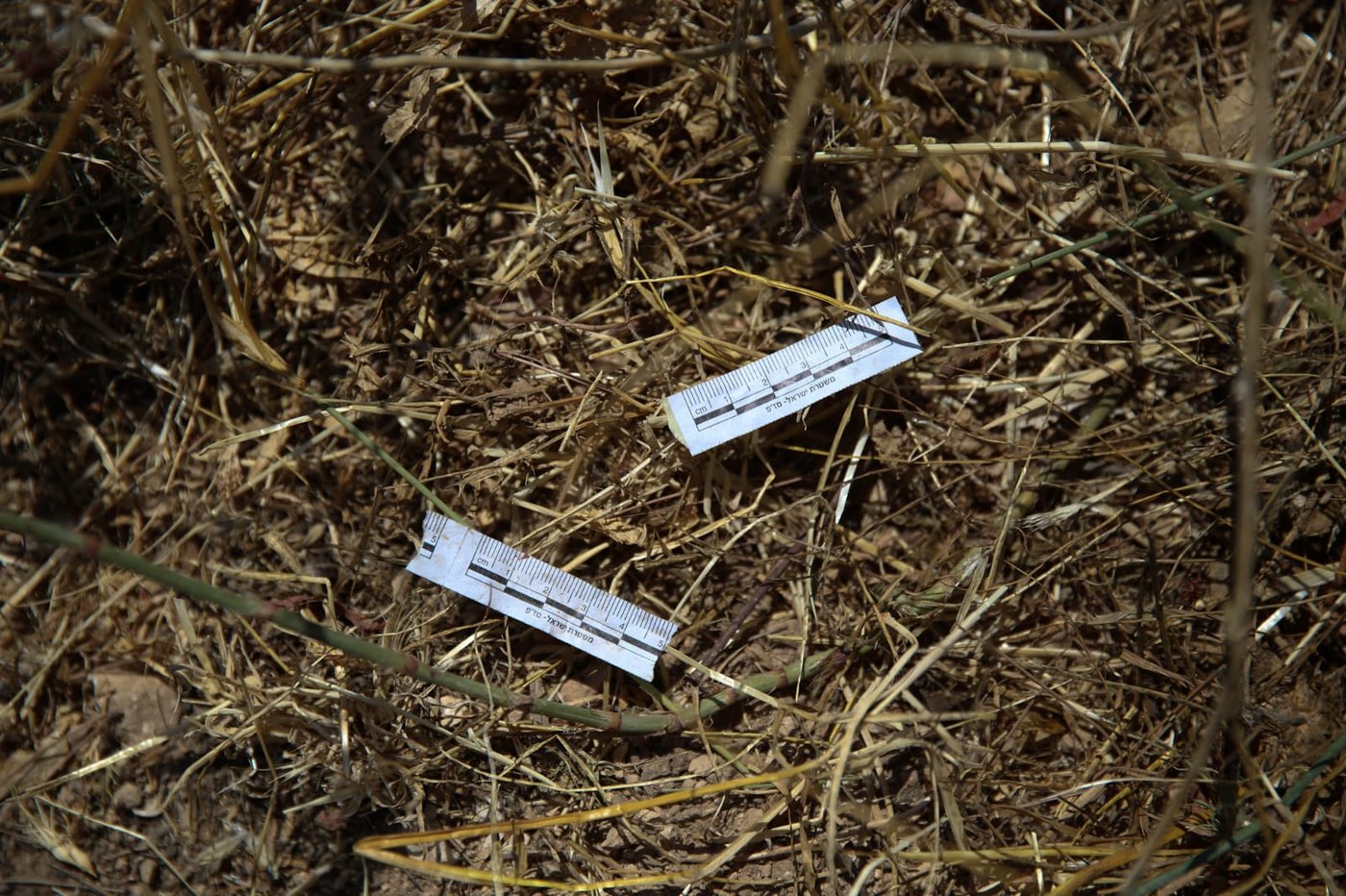 תיעוד מהזירה: חיילי צה"ל בסריקות בשטח