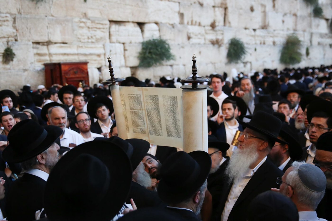 תשעה באב בכותל המערבי: אלפים בתפילת 'שחרית' • תיעוד