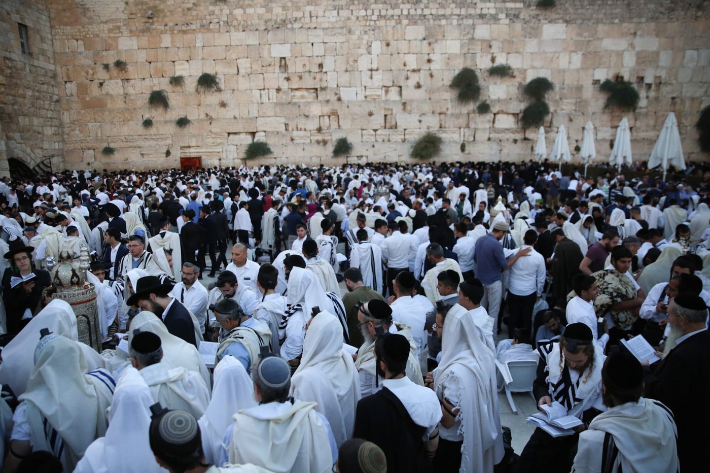 תשעה באב בכותל המערבי: אלפים בתפילת 'שחרית' • תיעוד