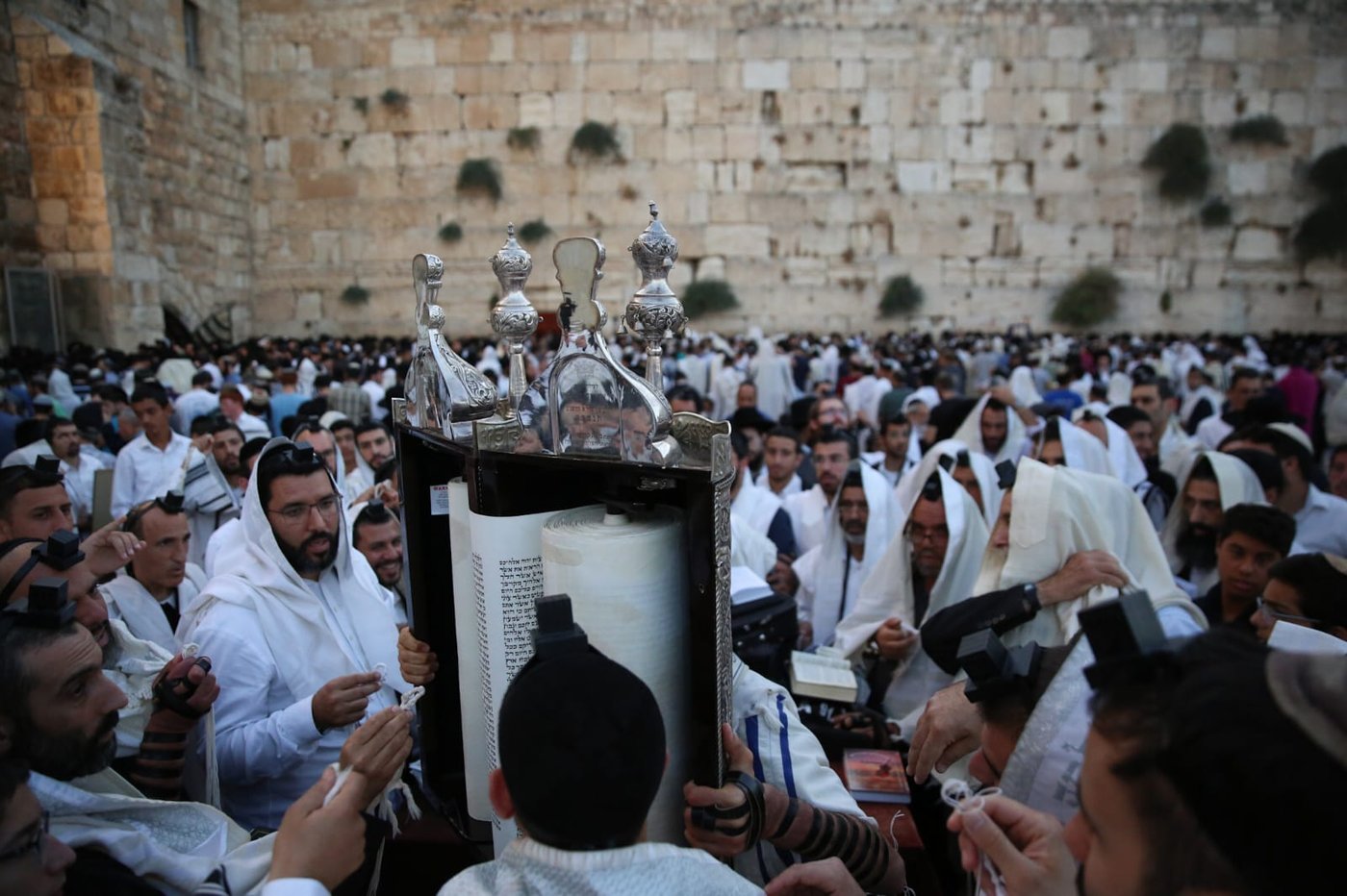 תשעה באב בכותל המערבי: אלפים בתפילת 'שחרית' • תיעוד