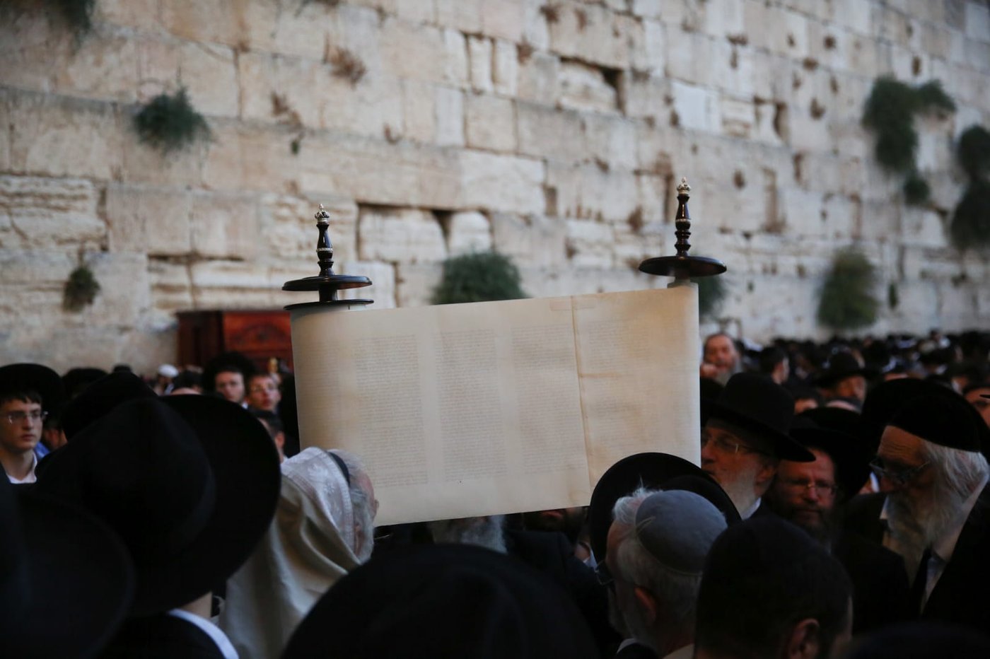 תשעה באב בכותל המערבי: אלפים בתפילת 'שחרית' • תיעוד