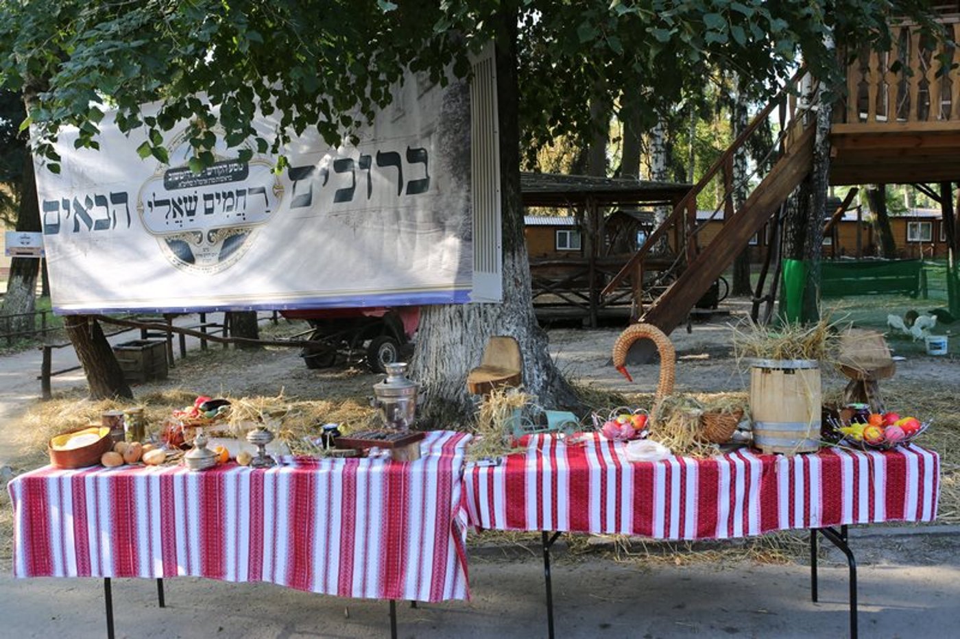 מרגש: האדמו"ר מויז'ניץ סנדק באוקראינה
