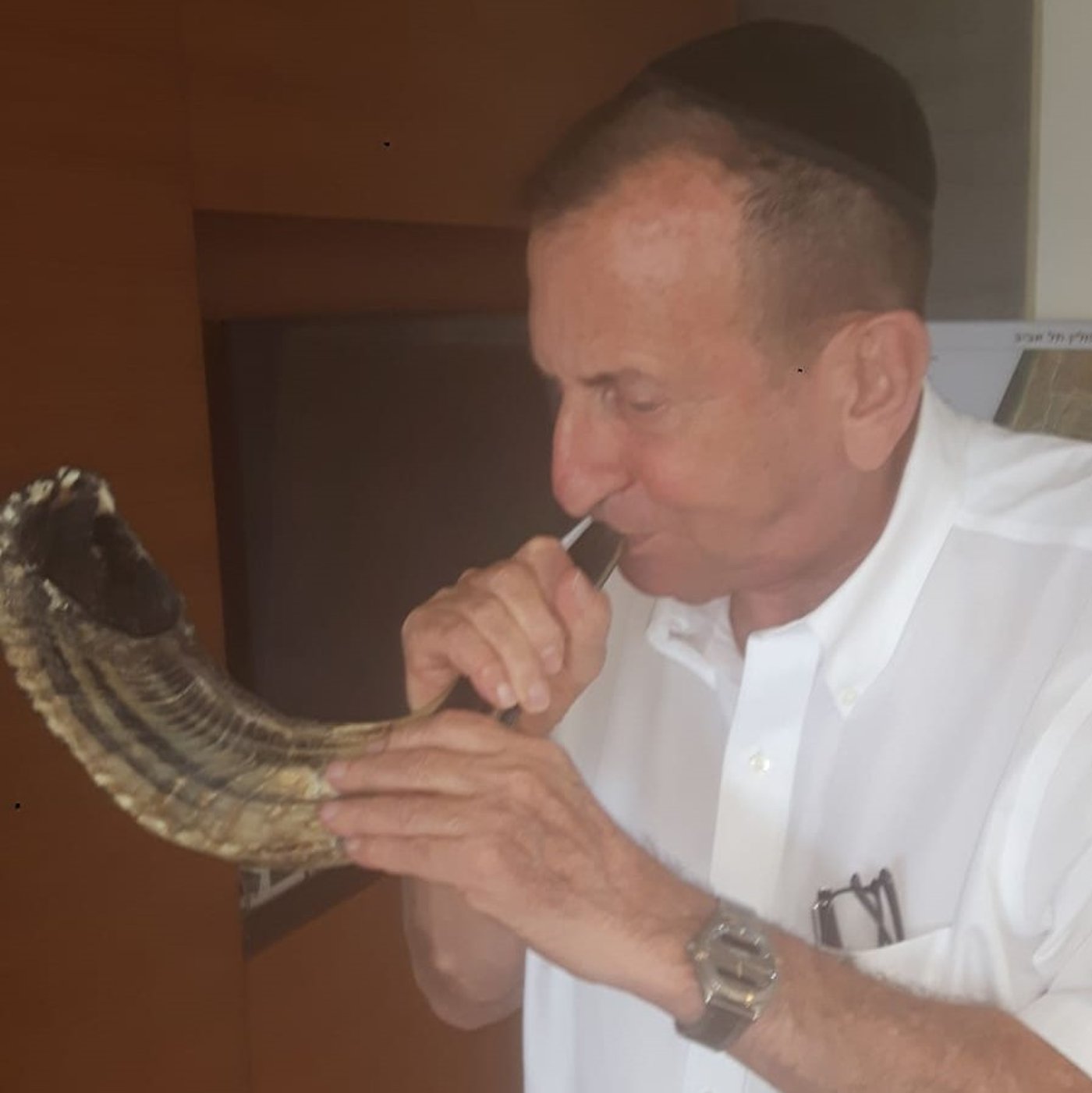 זופניק בכיכר • כל התמונות והנייעס של השבוע