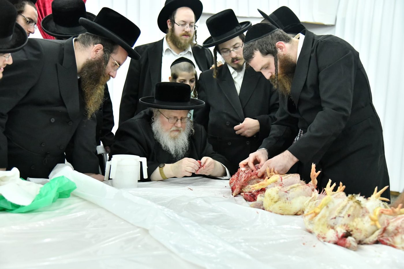 האדמו"ר מסאסוב במעמד 'כפרות' ושחיטה