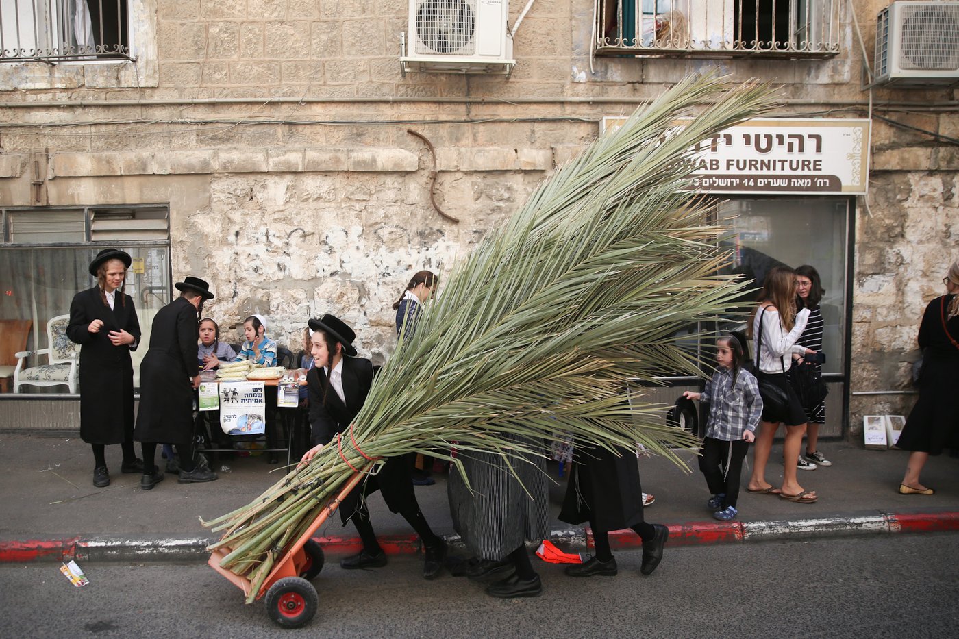 העבודה של המחמירים: סוחבים סכך • תיעוד