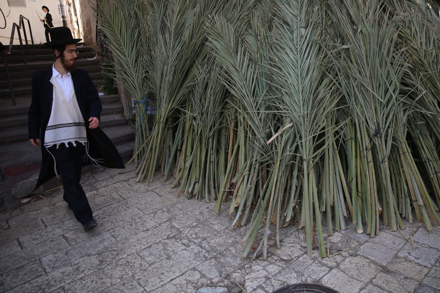 העבודה של המחמירים: סוחבים סכך • תיעוד