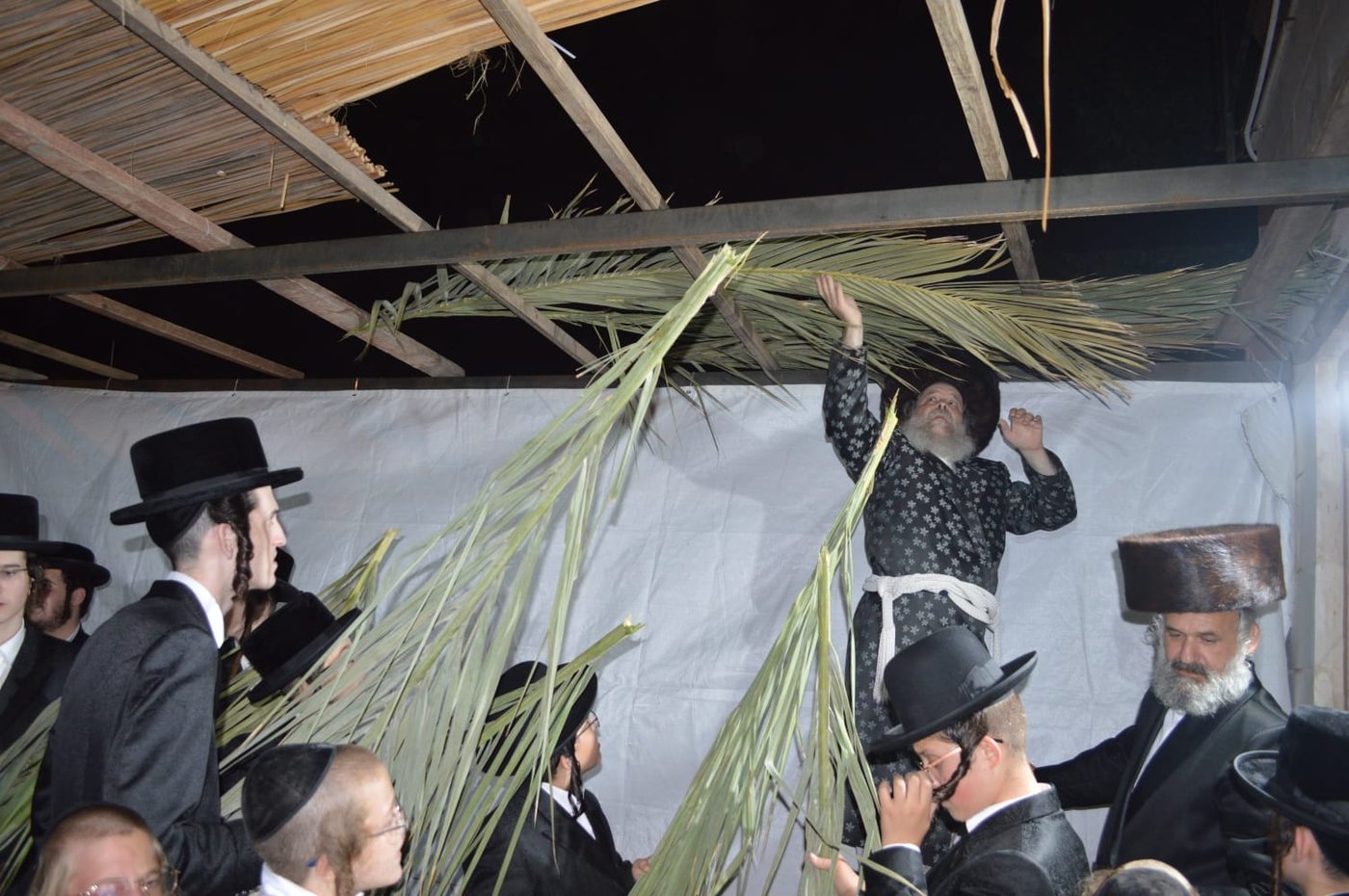 הרבי עלה על הסולם וסיכך בידיו את הסוכה
