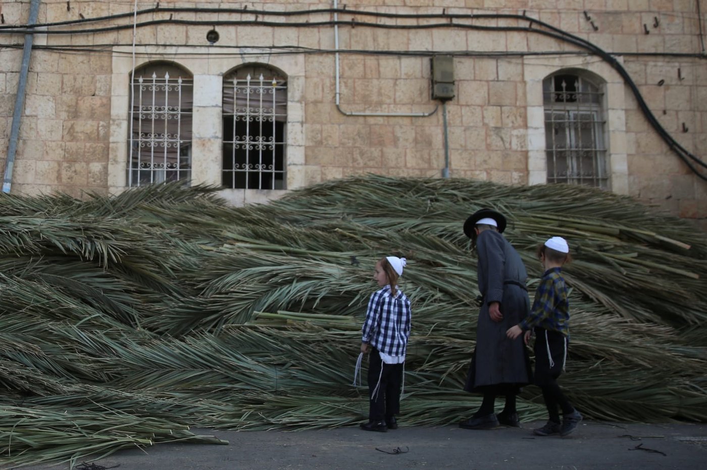 התחזית: ירידה בטמפרטורות, מעונן חלקית
