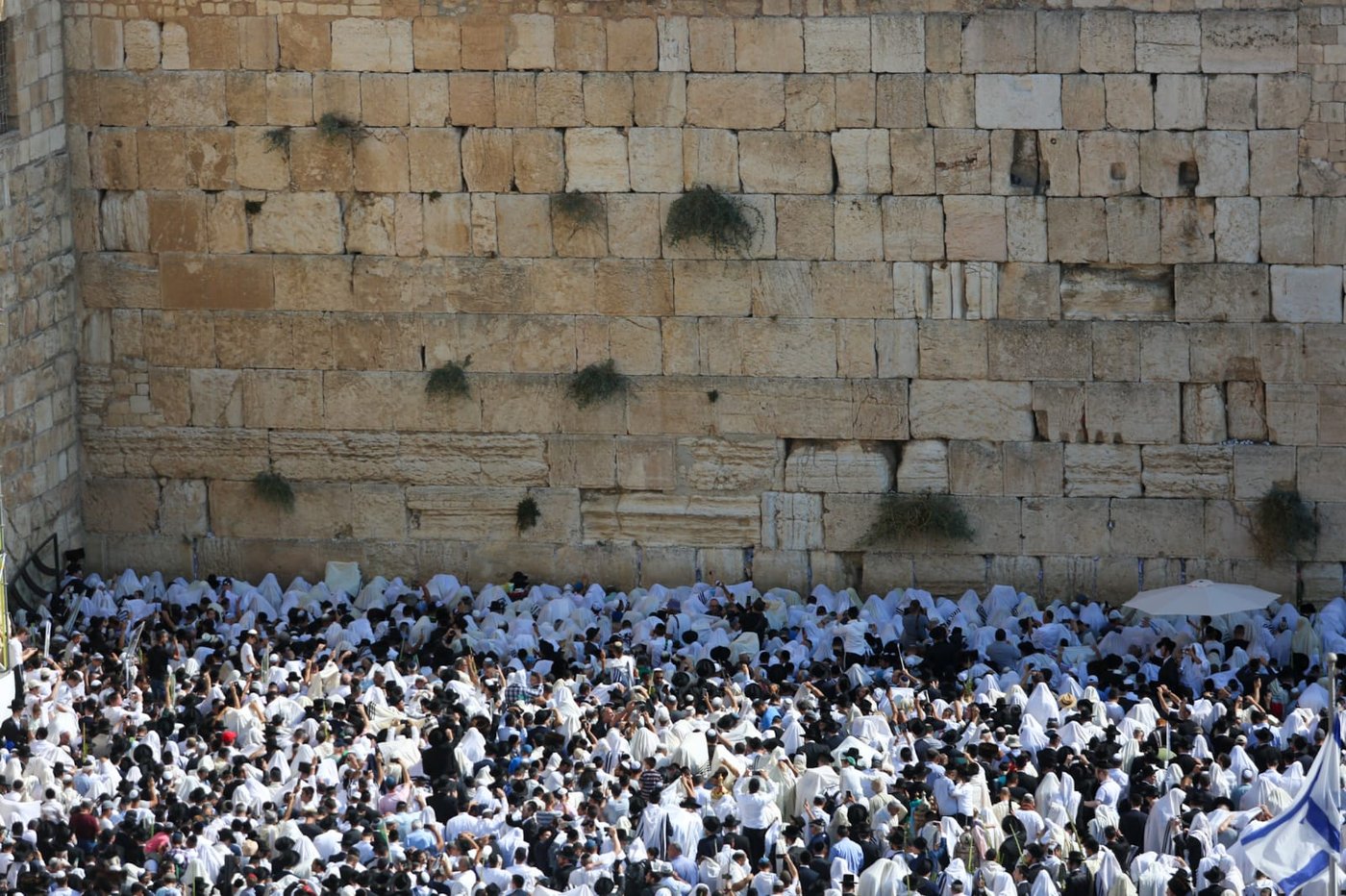 מעמד ברכת כהנים בכותל המערבי • תיעוד