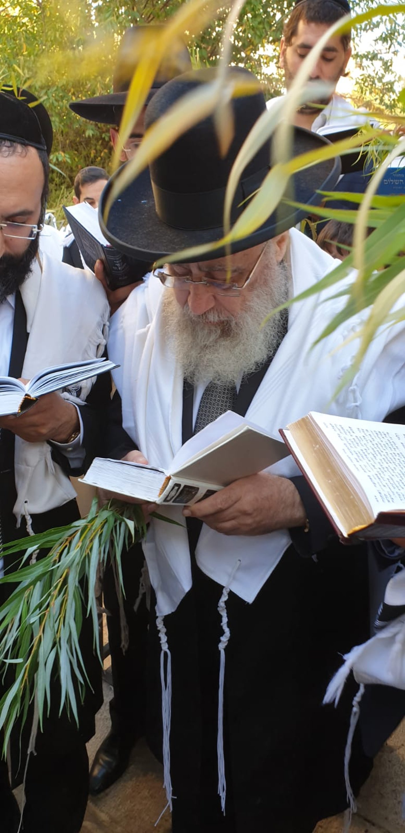 חבטת הערבה ו'נשמת' עם הראשון לציון הגר"י יוסף