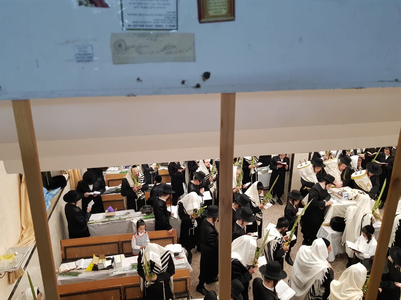 'הושענא רבה' אצל הגאון רבי שאול אלתר • תיעוד