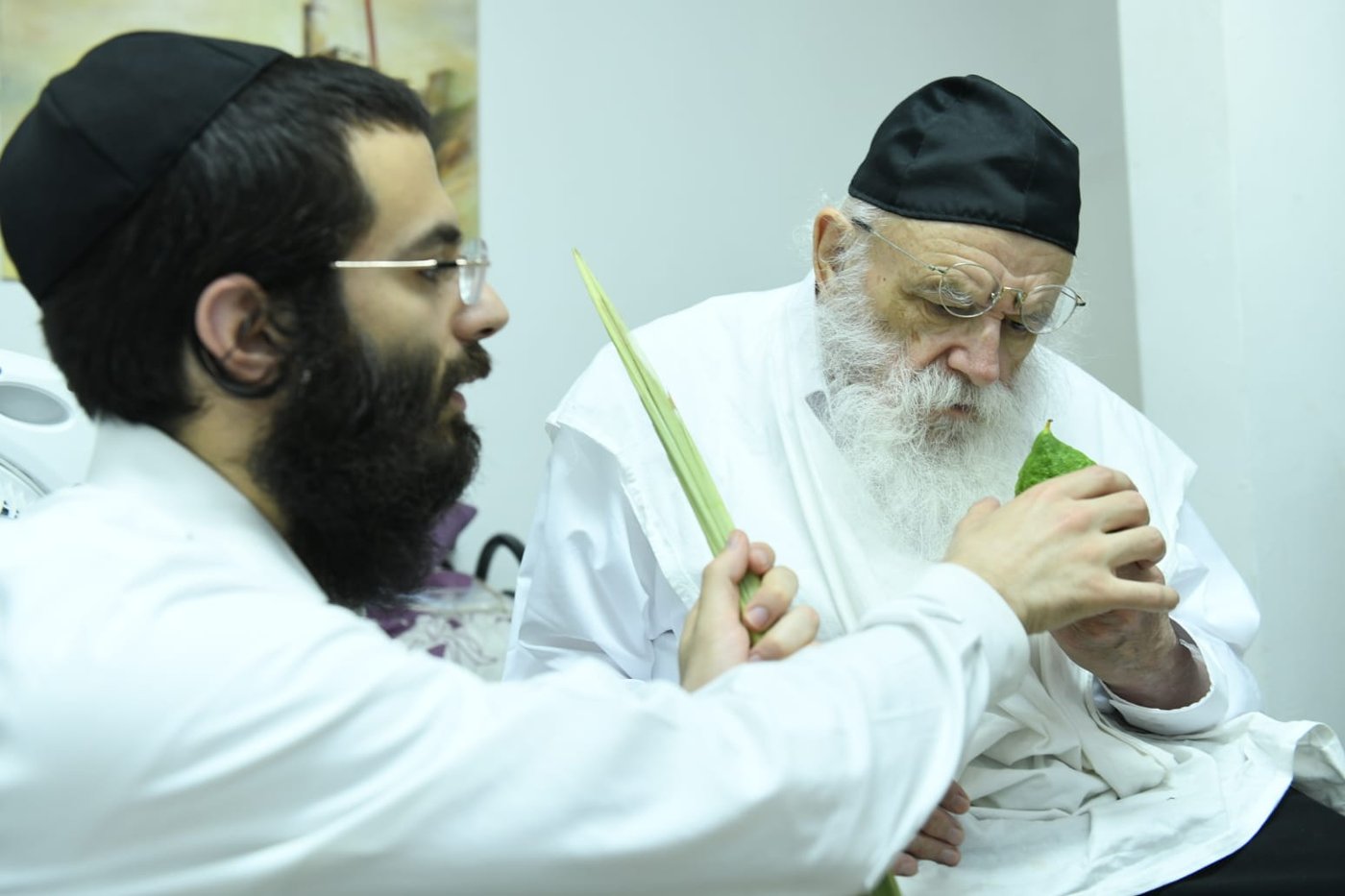לימוד במיטה: הגאון רבי מאיר גריינמן בהושענא רבא