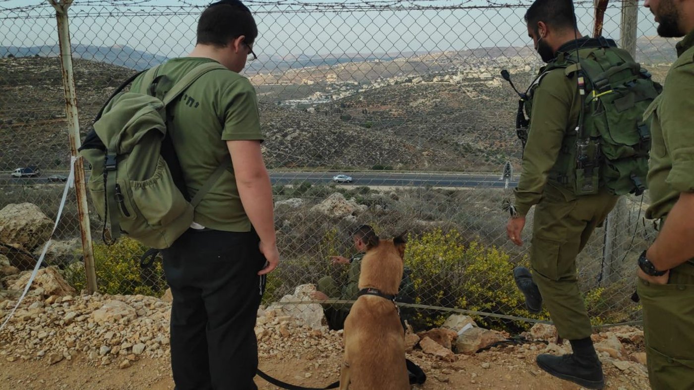 חיילים, כלבים ורחפנים: חשש לחדירת מחבלים לכפר תפוח