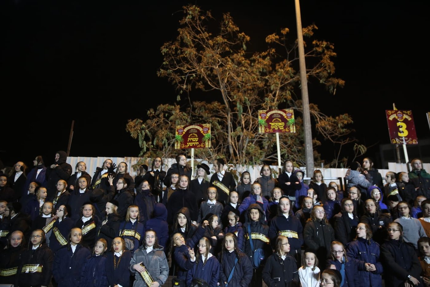 צפו: רבבות בקבלת פנים לאדמו"ר מסאטמר