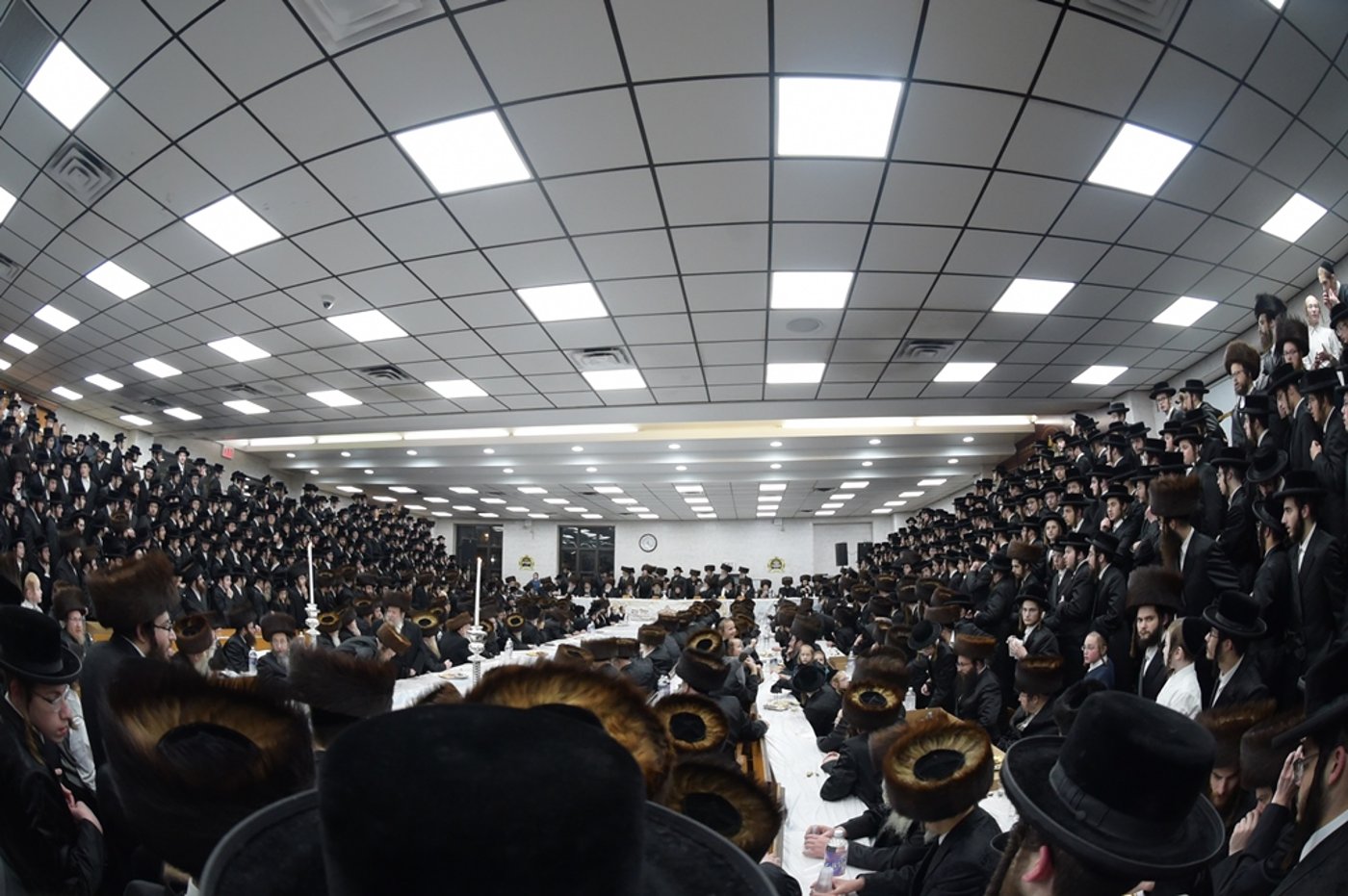 אלפים בשמחת החתונה לנכד האדמו"ר מסאטמר