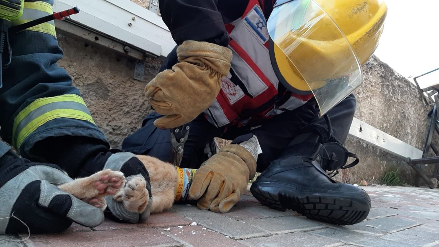 לוחמי האש הוזעקו לחלץ חתול מקופסת שימורים • תיעוד