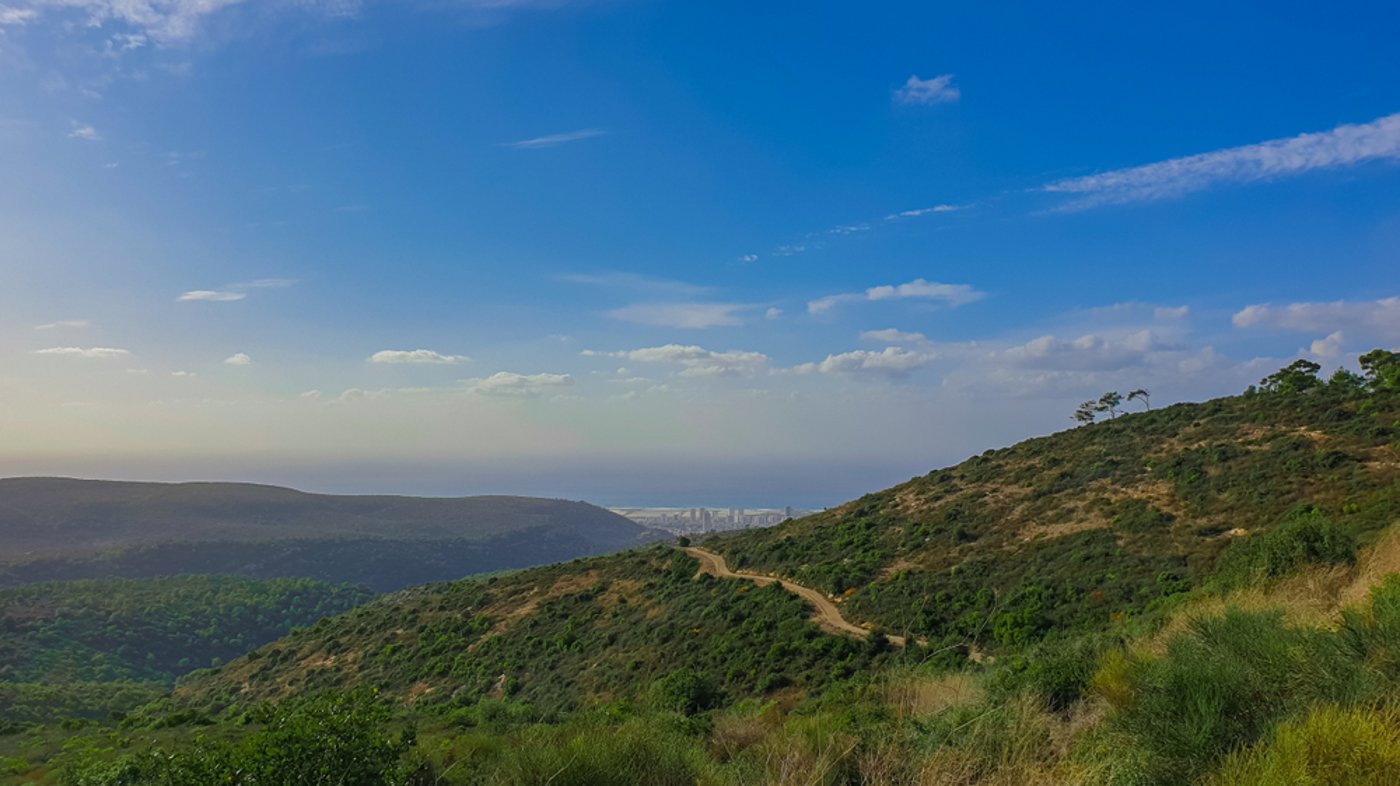 הר הכרמל
