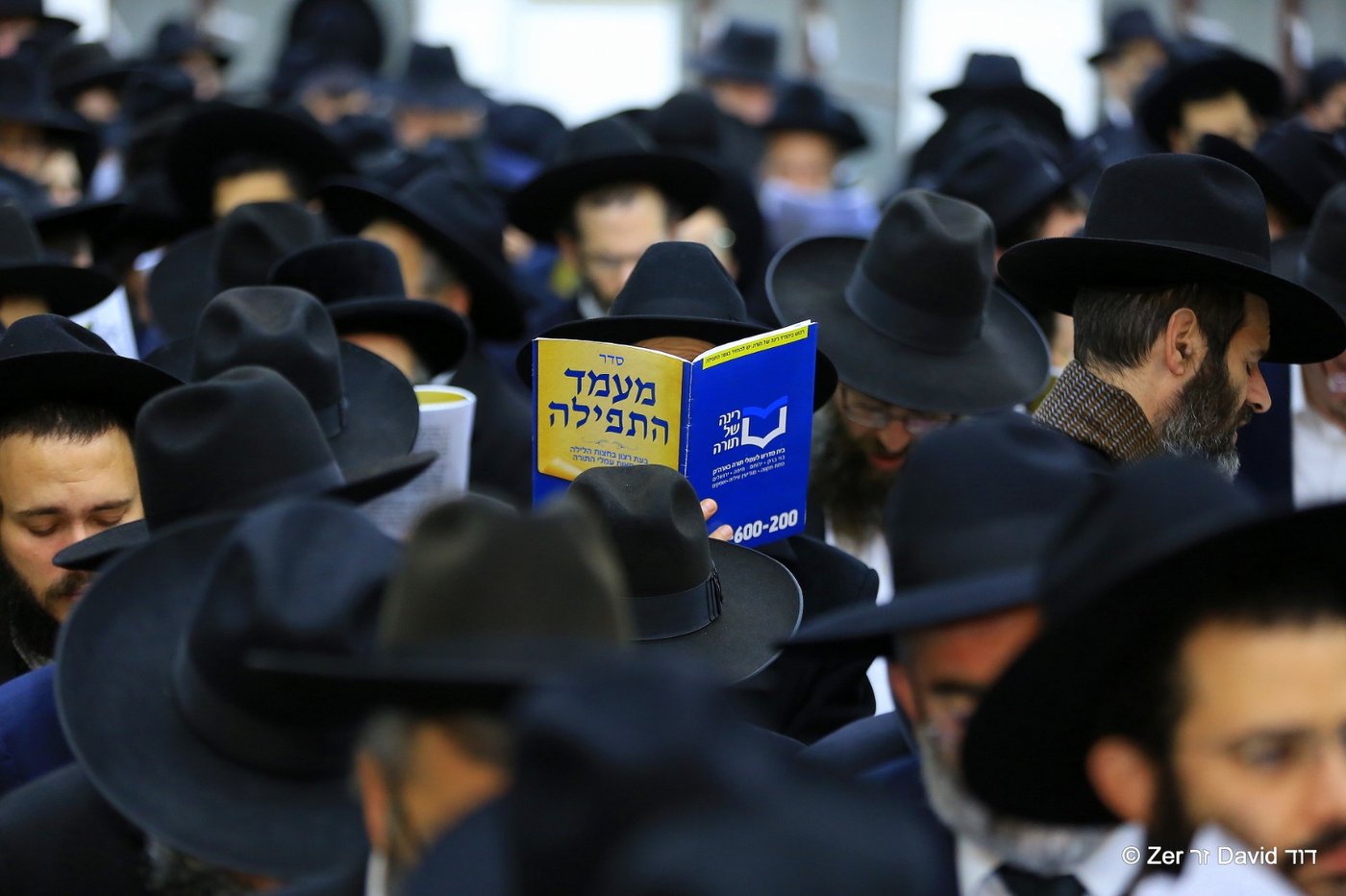 אלפים העתירו לישועה במעמדות התפילה שע"י 'רינה של תורה'