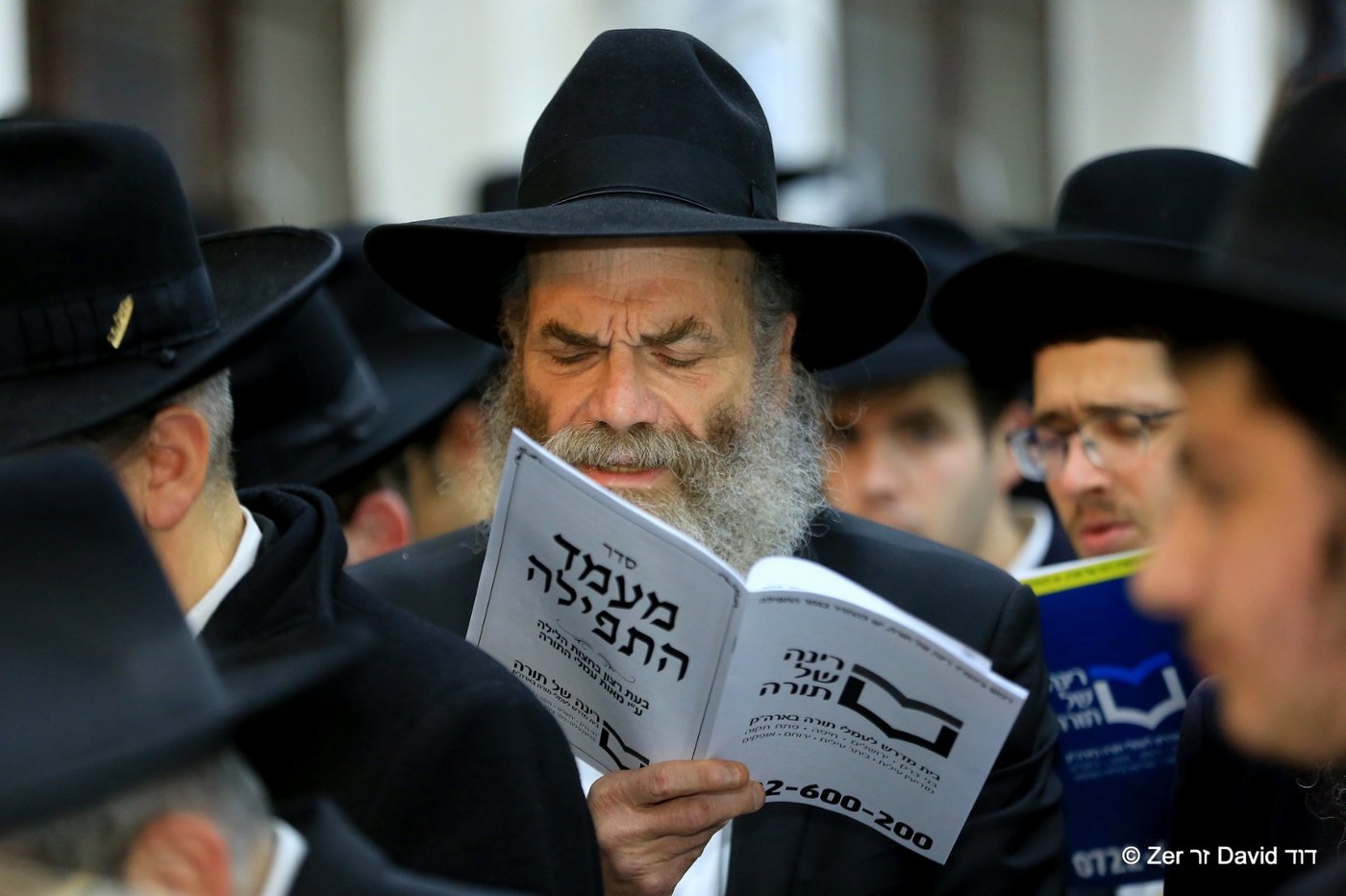 אלפים העתירו לישועה במעמדות התפילה שע"י 'רינה של תורה'