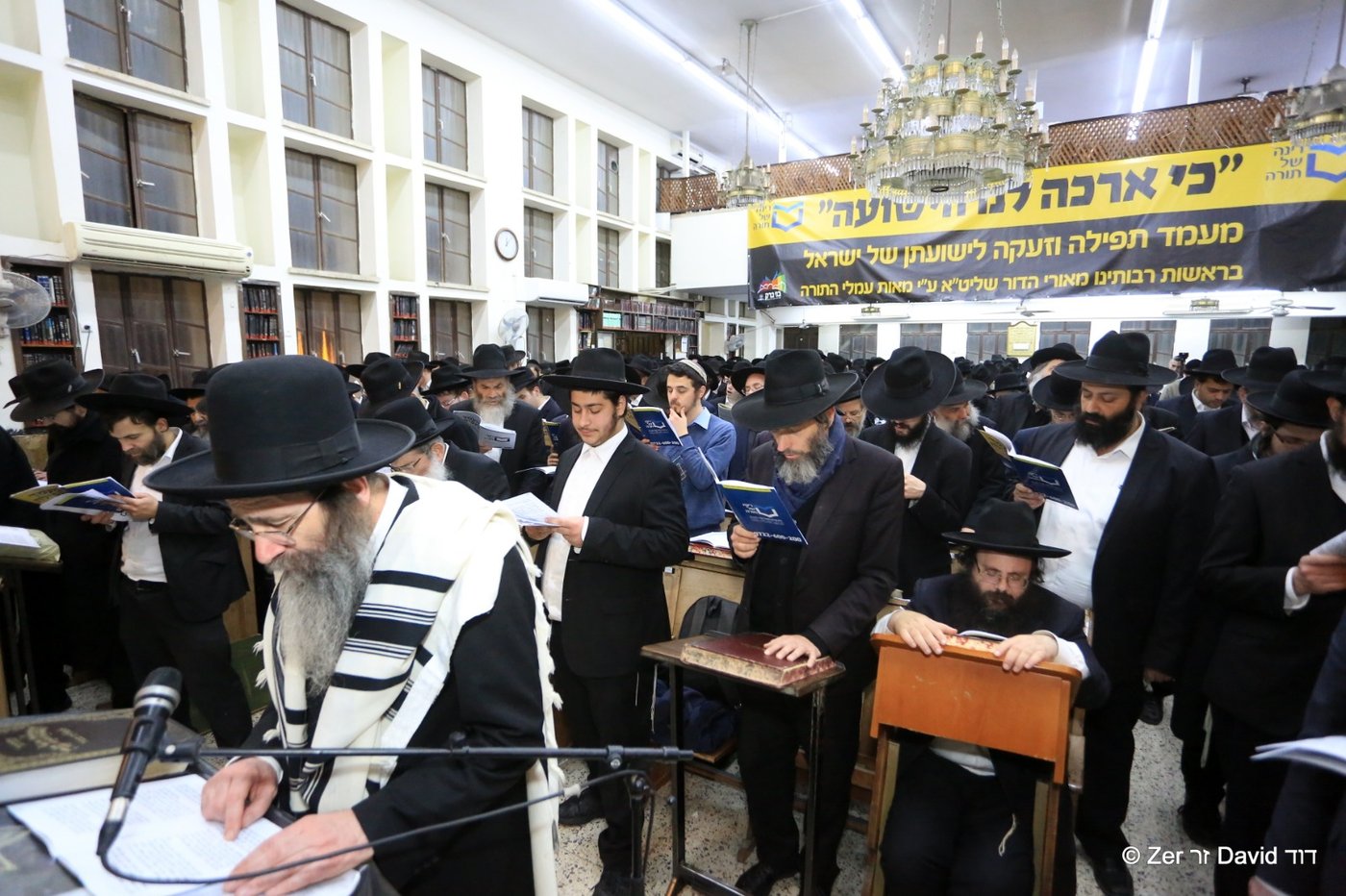 אלפים העתירו לישועה במעמדות התפילה שע"י 'רינה של תורה'