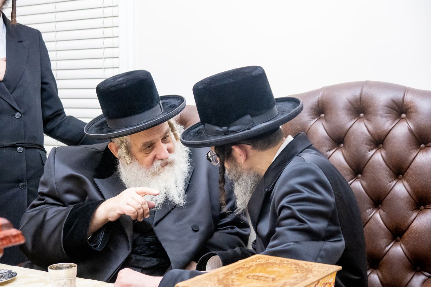 האדמו"ר מקוסוב ויז'ניץ ביקר את הרבי מסקולען