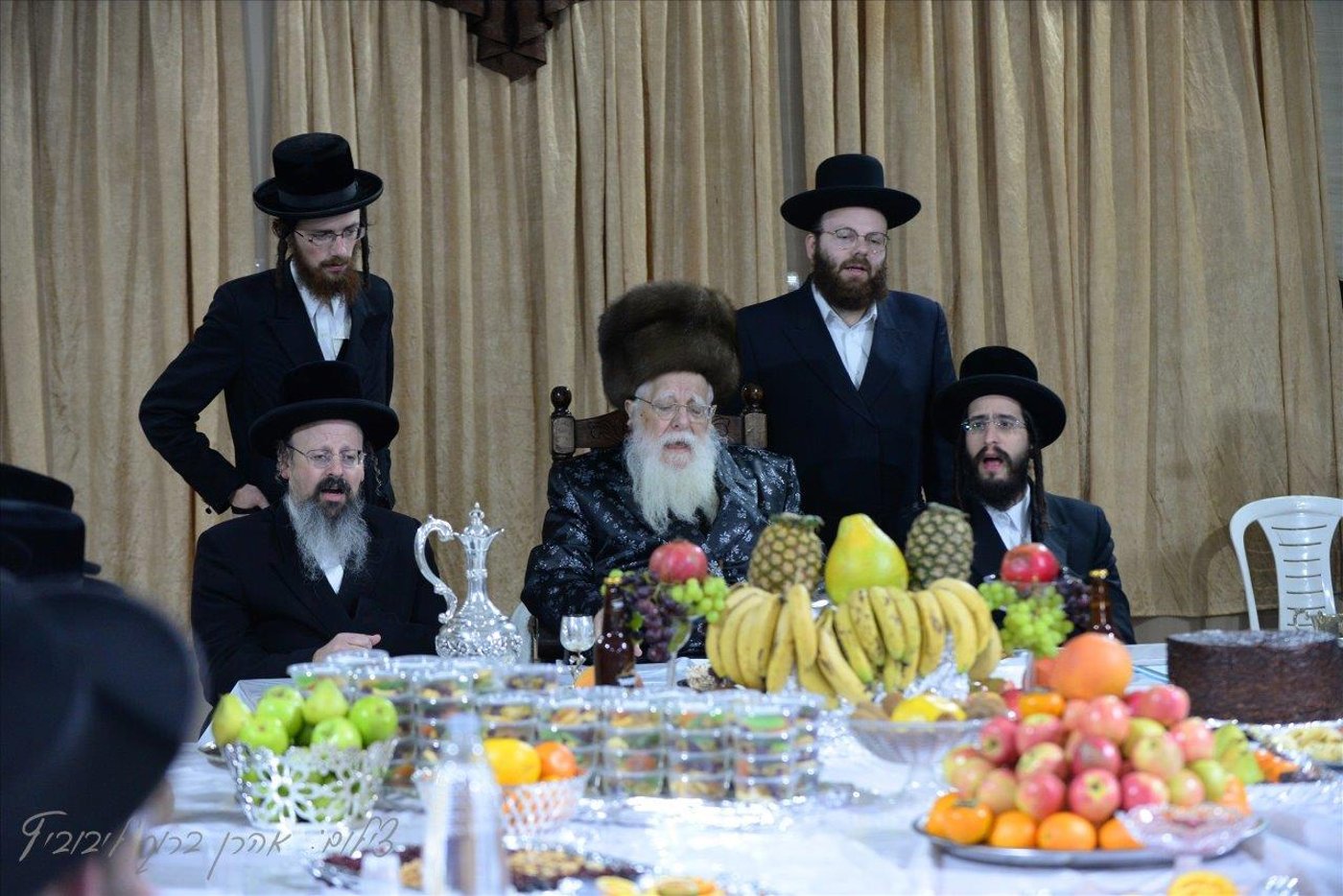 חסידי שאץ - ויז'ניץ חגגו את ראש השנה לאילנות