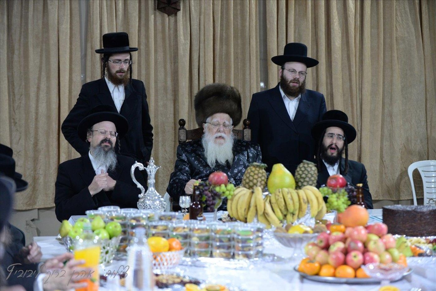חסידי שאץ - ויז'ניץ חגגו את ראש השנה לאילנות