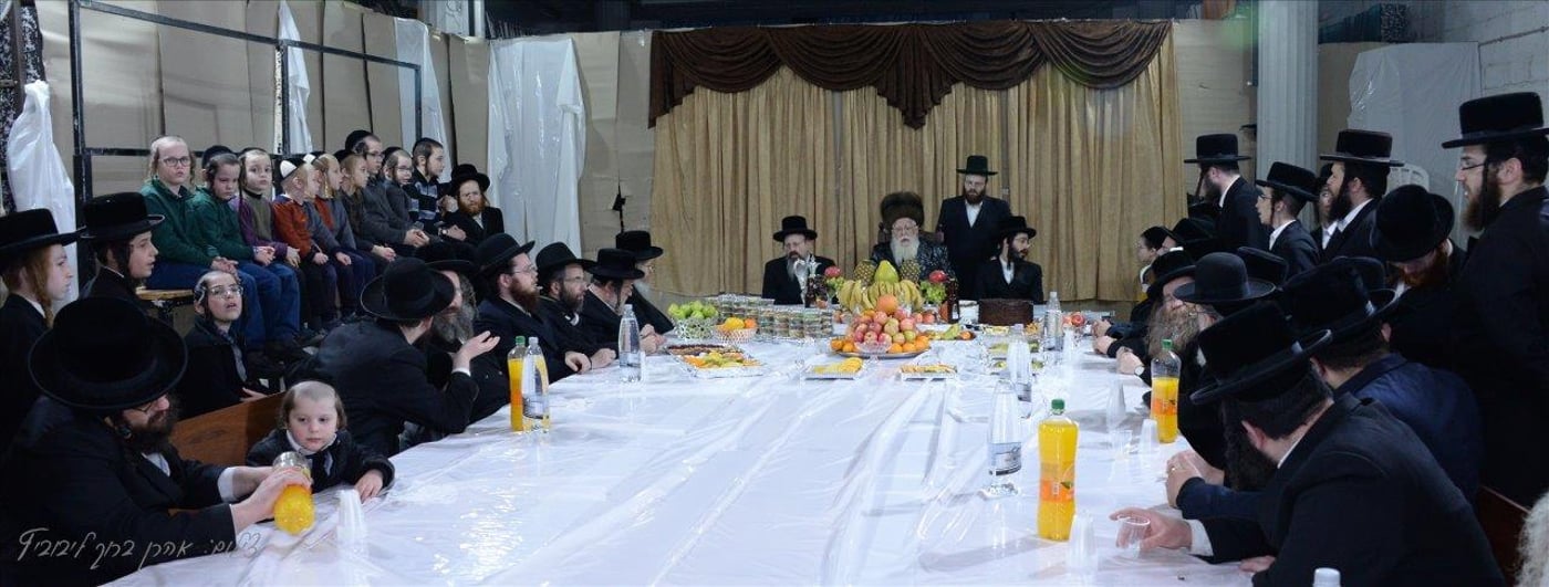חסידי שאץ - ויז'ניץ חגגו את ראש השנה לאילנות
