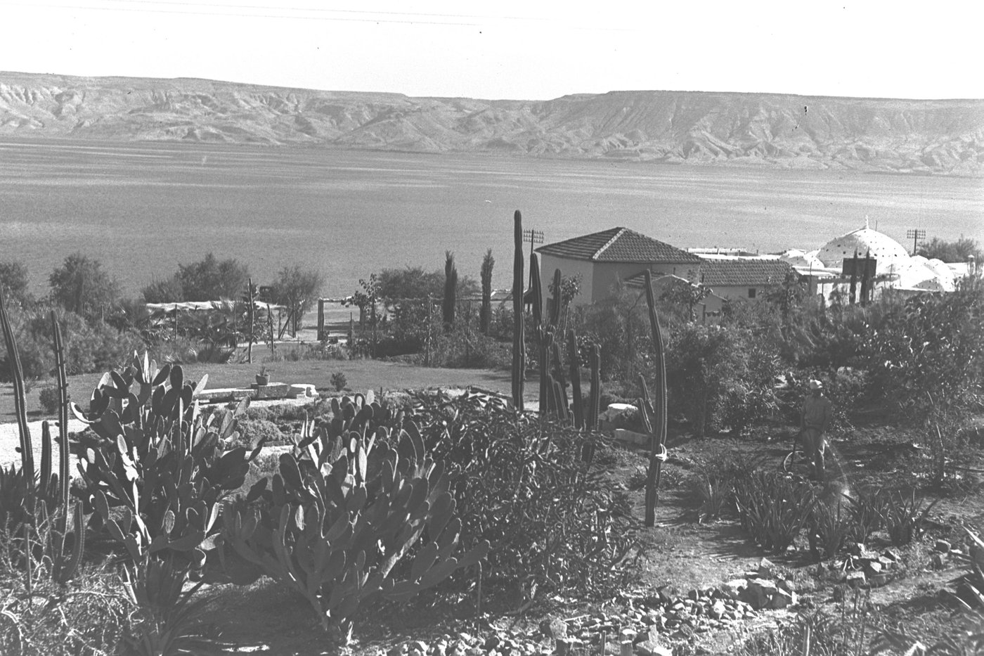 טבריה, 1937