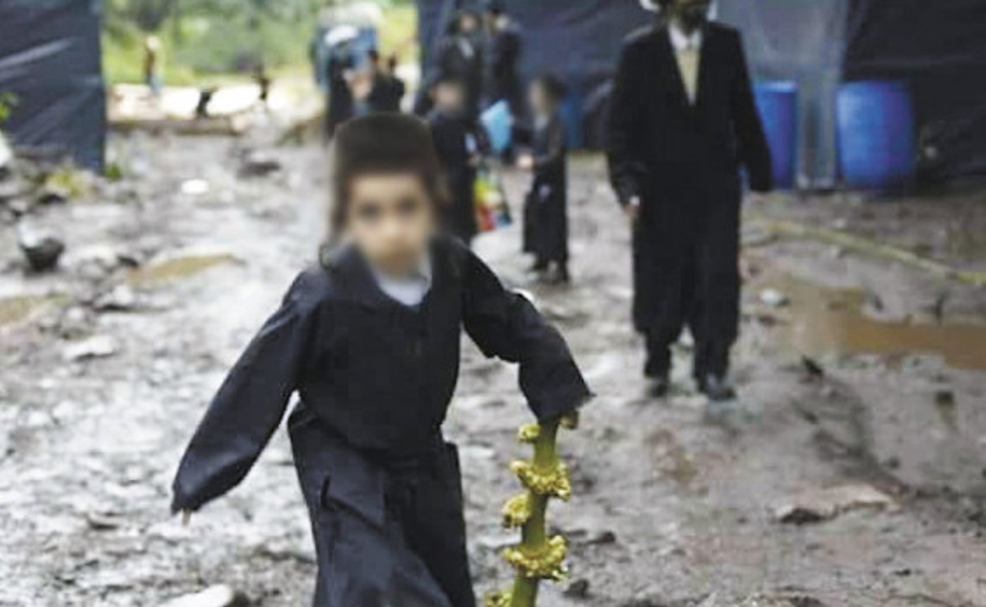 חשש בכת לב טהור; "כל אבא יהרוג את בניו"