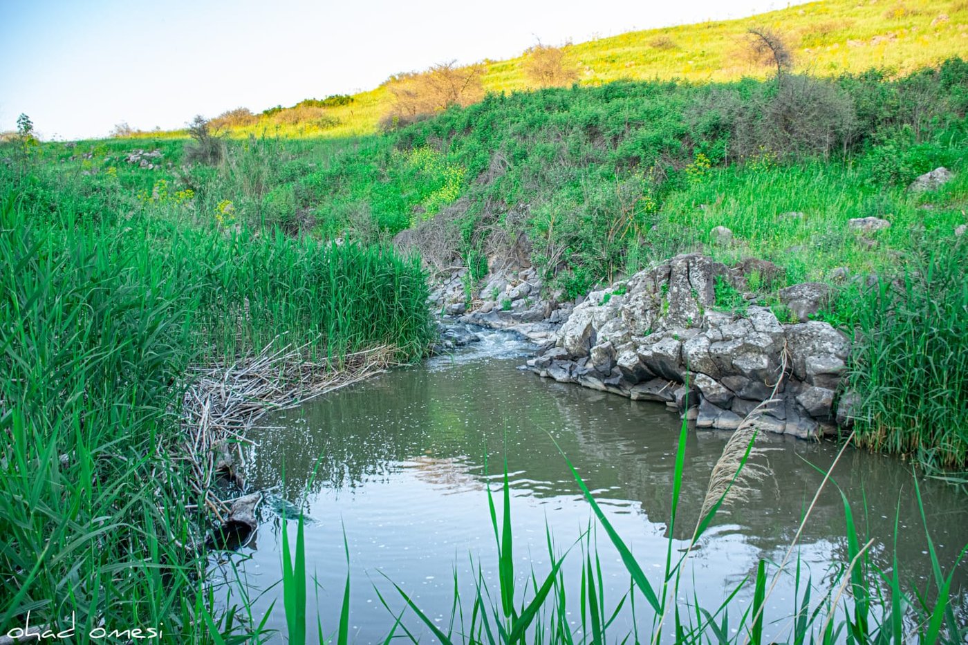 מתגעגעים לטיול חג? תיעוד מרהיב מהצפון