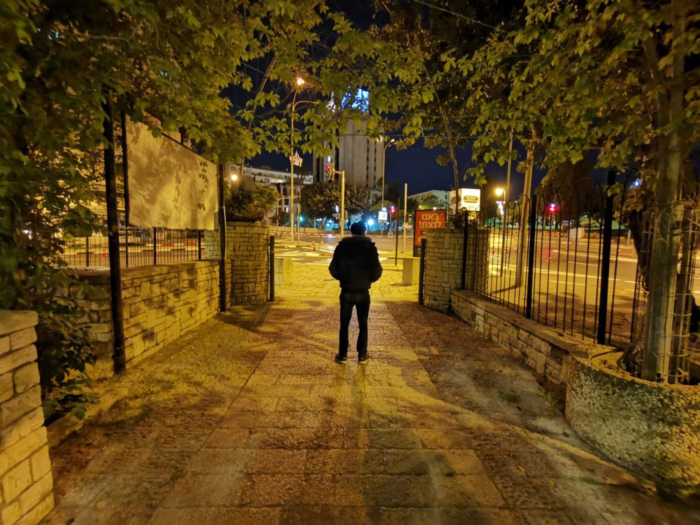 טיול ב'גן הפעמון' באמצע הלילה • גלריה