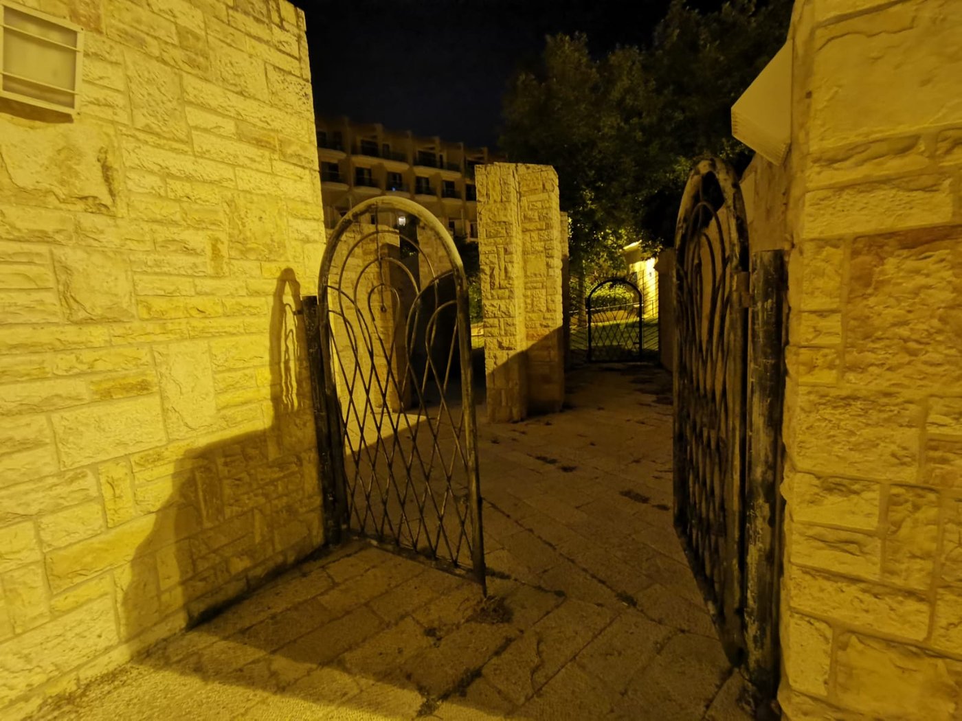 טיול ב'גן הפעמון' באמצע הלילה • גלריה