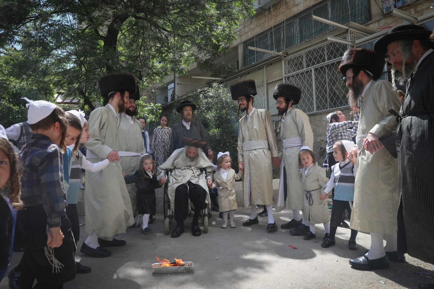 מרגש: החלאקה של הנכדים לניצול השואה