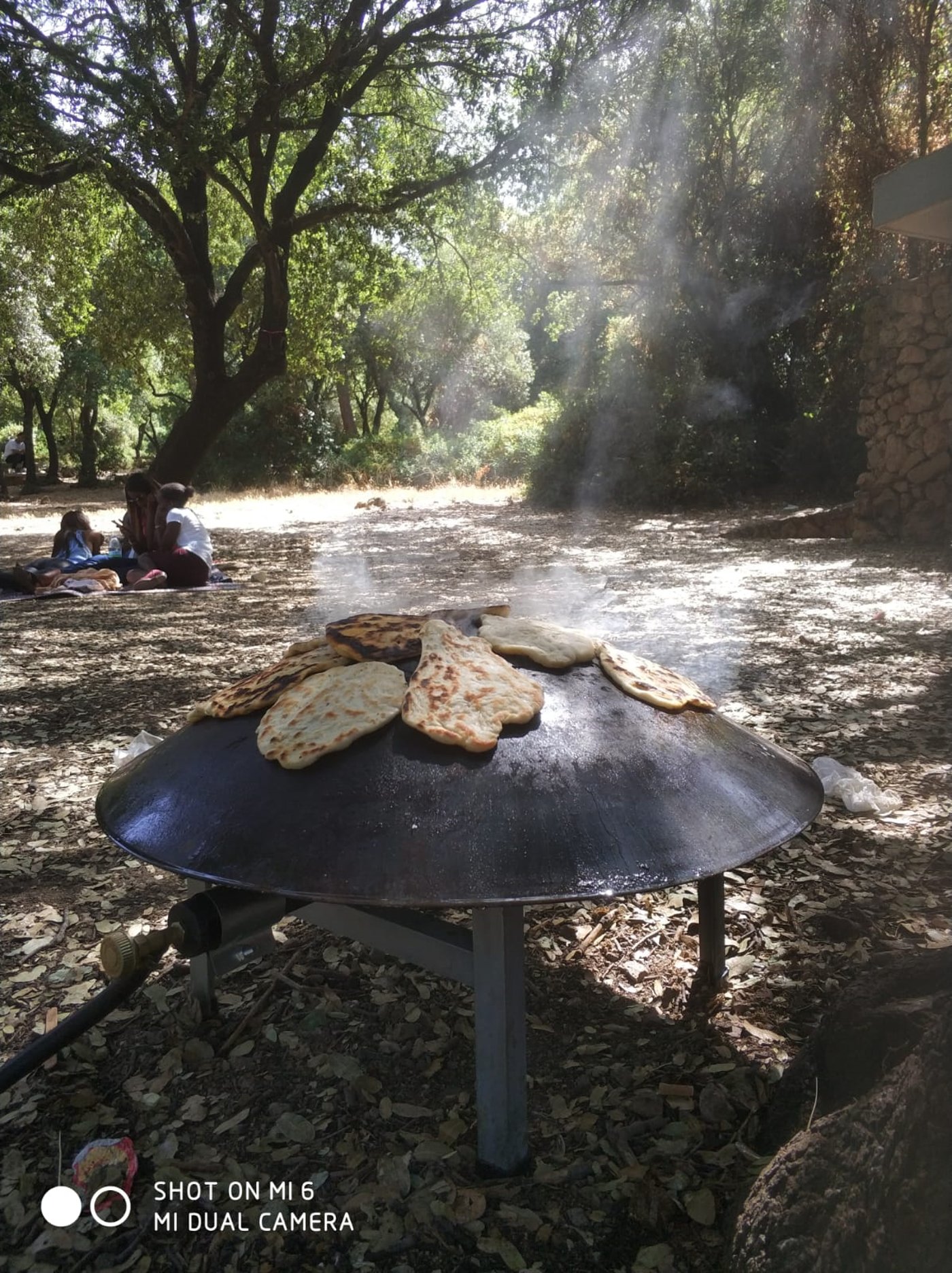 עונת הטיולים: להחליף כח ולצבור אנרגיות